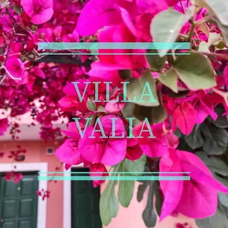 ホテル Valia アカラヴィ